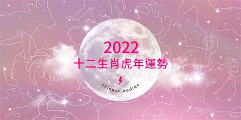 屬虎2022下半年運勢|【2022十二生肖整體運勢】屬兔桃花運旺、屬虎本命。